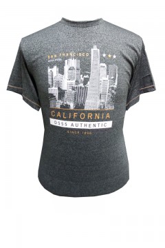 paterson california print t-shirt